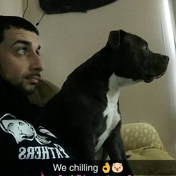 snappdanny